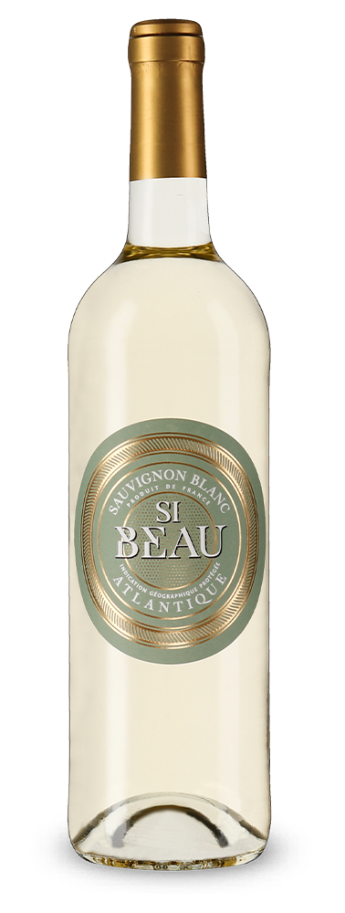 Sauvignon Blanc 2022