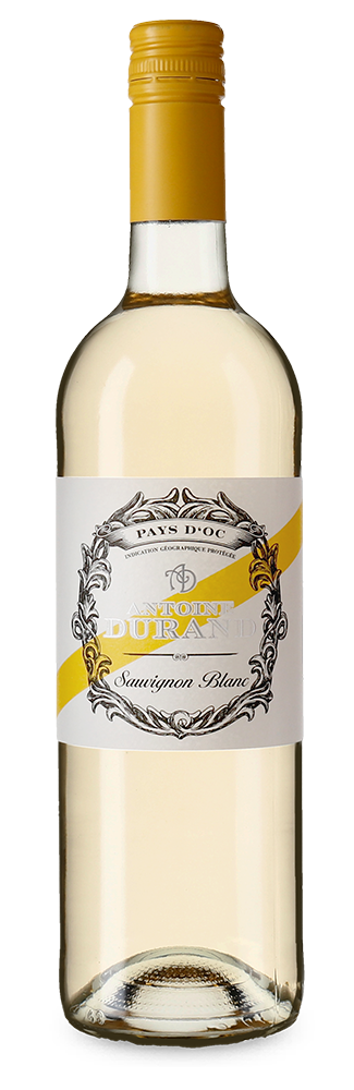 Sauvignon Blanc 2022