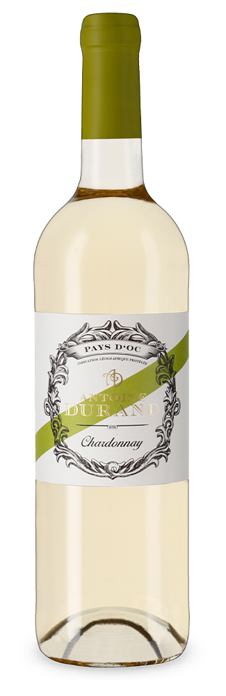 Chardonnay 2022