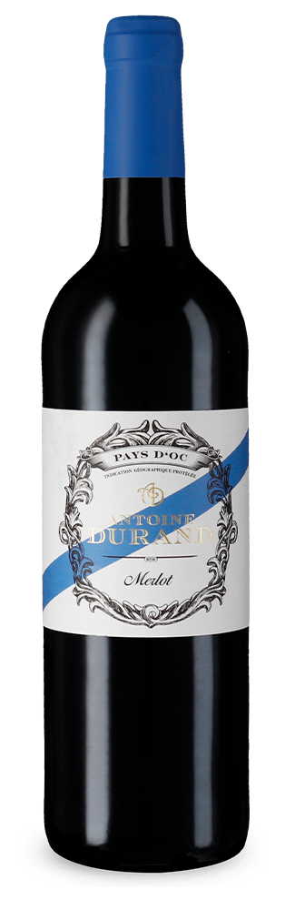 Merlot 2022