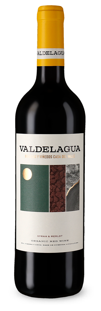 Valdelagua Syrah e Merlot Bio 2022