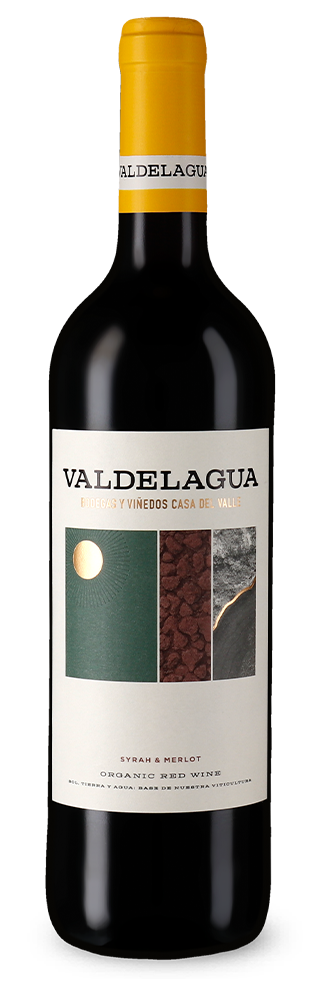 Valdelagua Syrah e Merlot Bio 2022