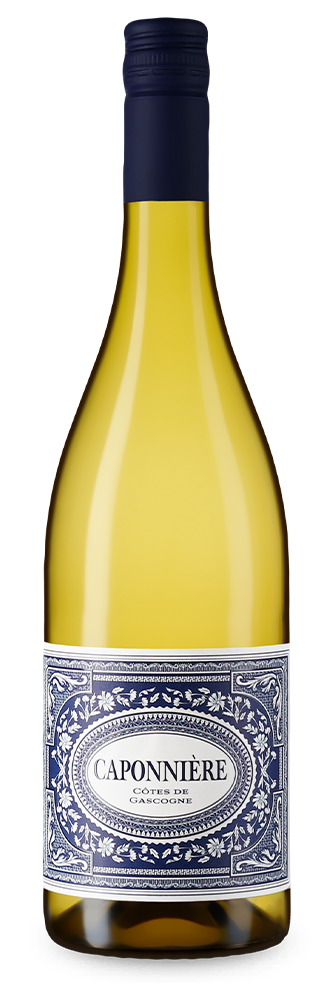 Côtes de Gascogne 2022