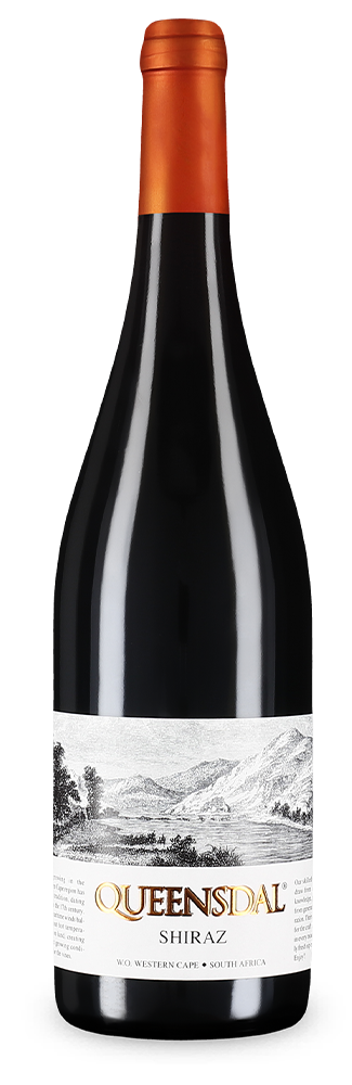 Shiraz 2023