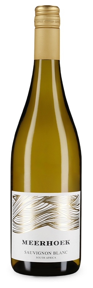 Sauvignon Blanc 2023