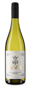 Hauck Pinot Bianco 2023 – Gold