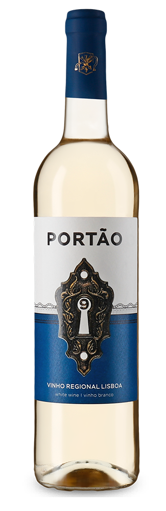 Portao 9 Branco 2023