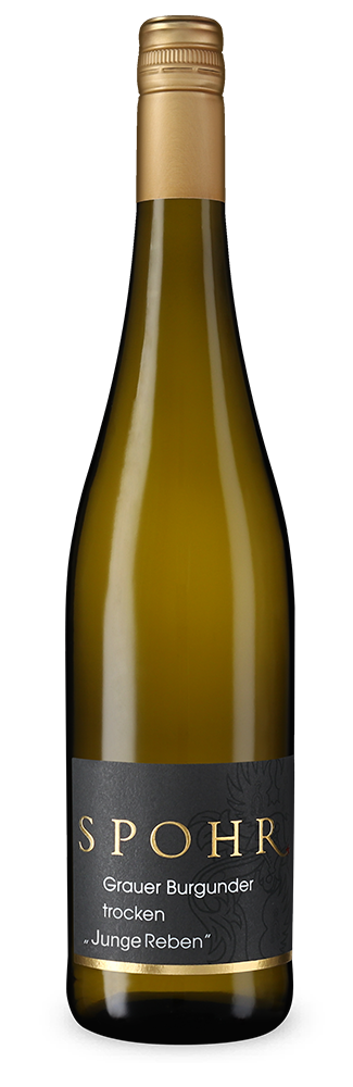 Pinot Grigio Viti nuove 2023