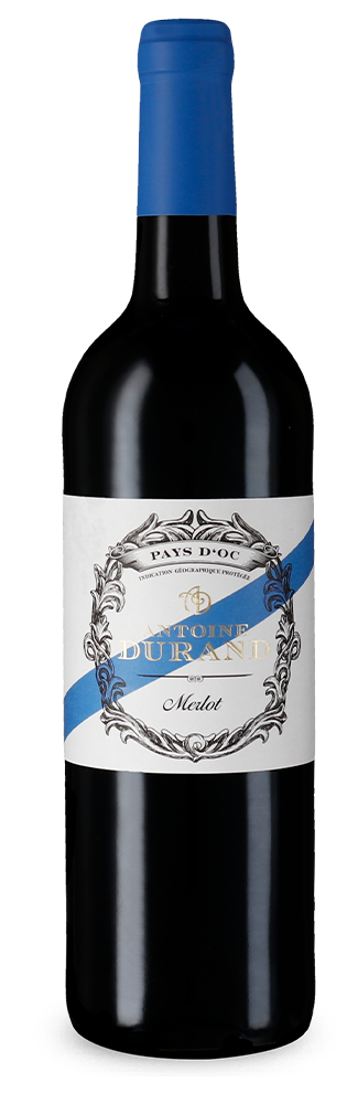 Merlot 2023