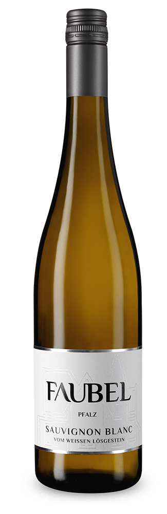 Sauvignon Blanc vom weißen Lössgestein 2024