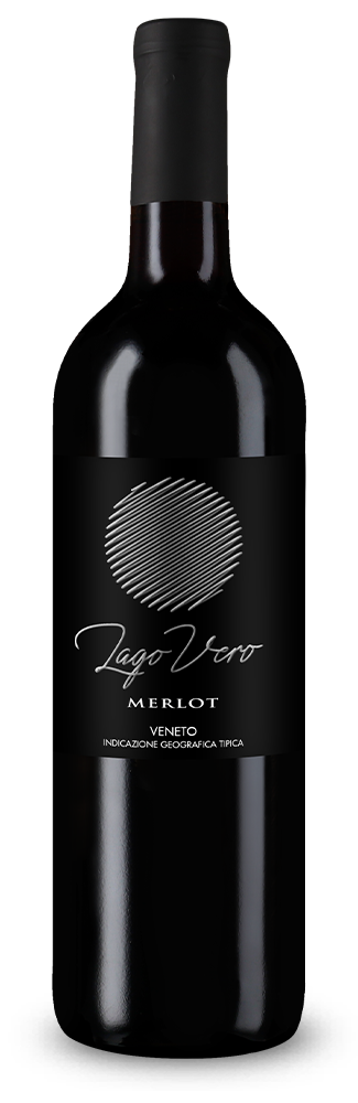 Merlot Veneto 2024