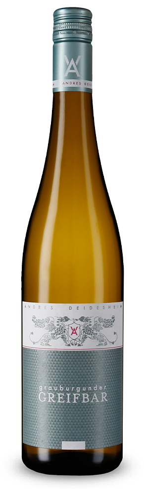 Pinot Gris Greifbar 2024