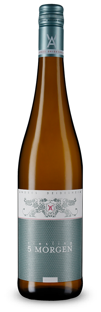 Riesling 5 Morgen 2024