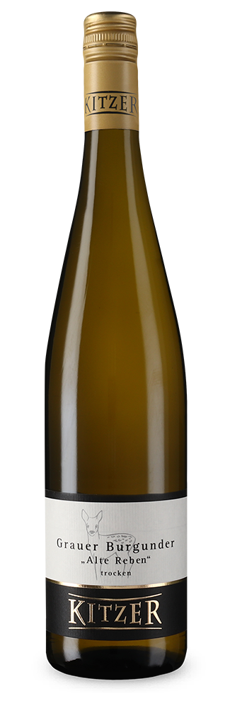 Pinot Gris Alte Reben 2024