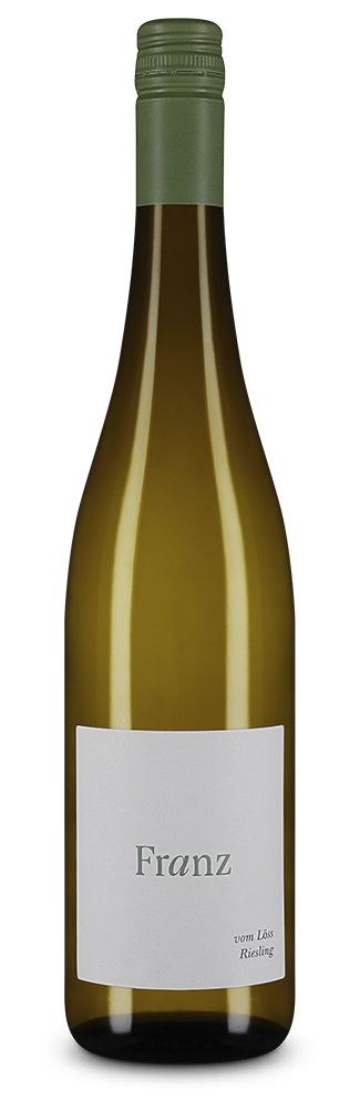 Riesling vom Löss 2024