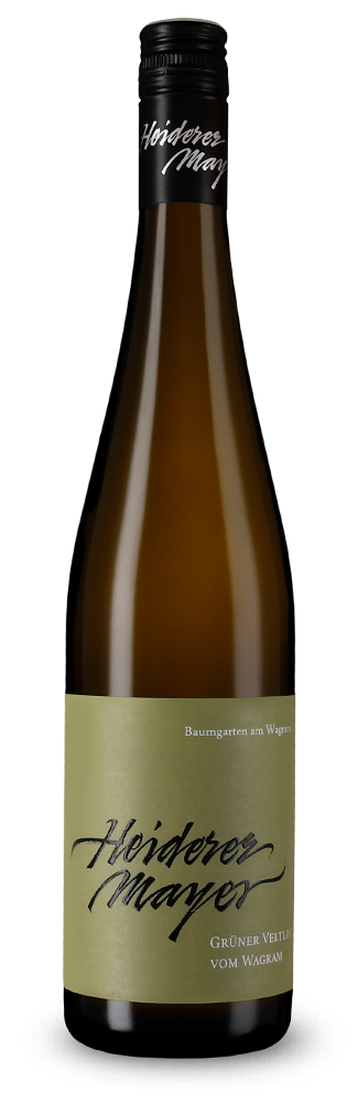 Grüner Veltliner vom Wagram 2024
