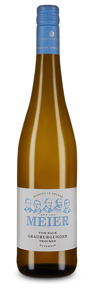 Pinot Gris vom Kalk 2024