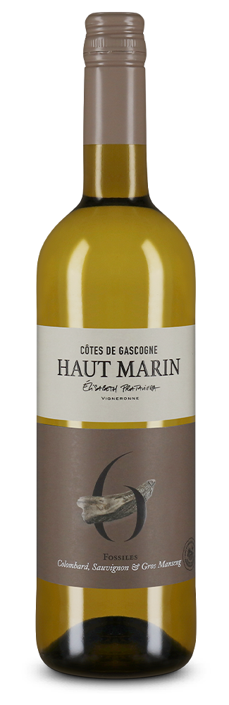 Côtes de Gascogne bianco N°6 Fossiles 2024
