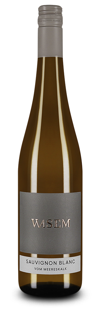 Sauvignon Blanc vom Meereskalk 2024