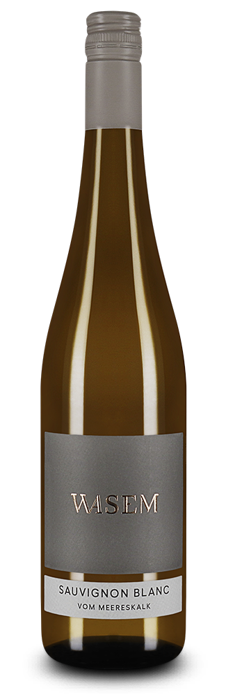 Wasem Sauvignon Blanc vom Meereskalk 2024 – Gold