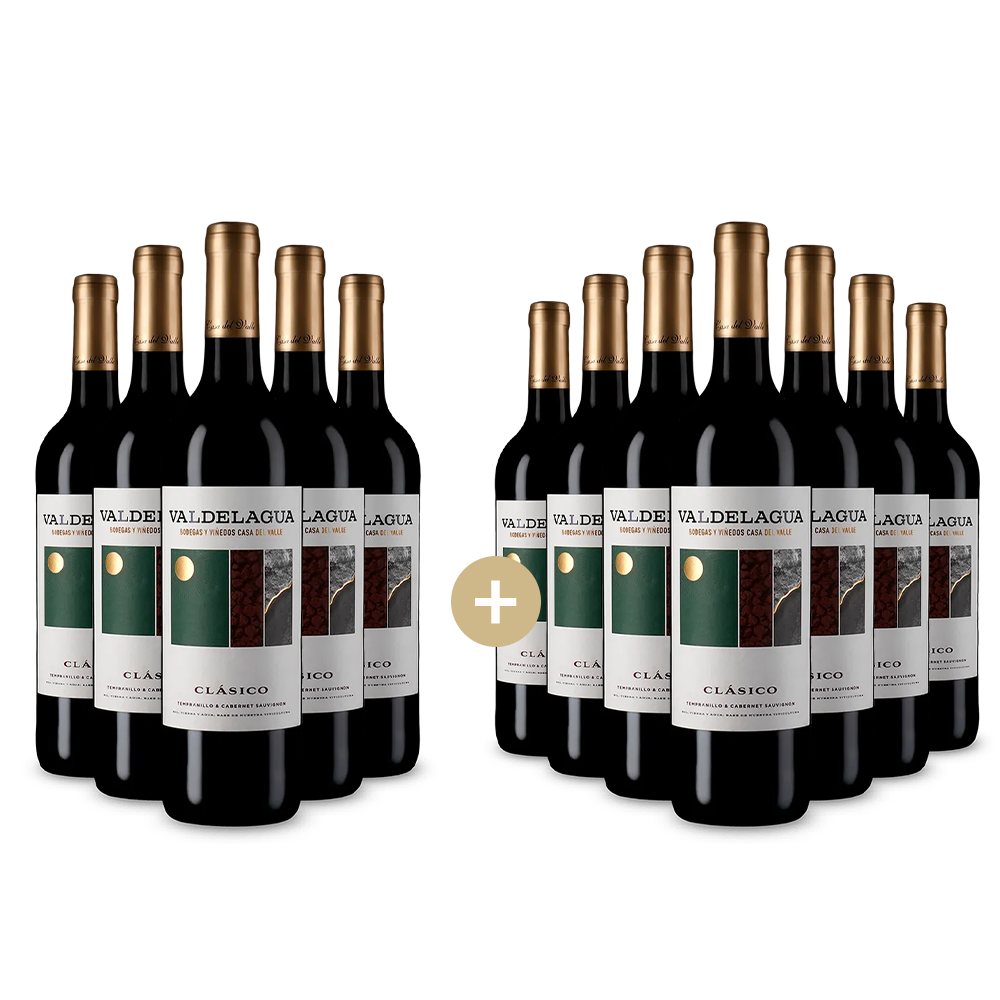 5+7 bottiglie Valdelagua Clásico Tinto 2023 – Gold