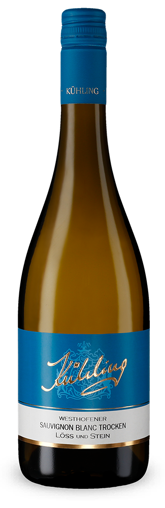 Westhofener Sauvignon Blanc Löss und Stein 2024