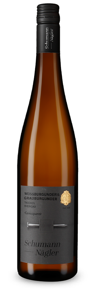 Pinot Bianco e Pinot Gris Taunusquarzit 2025
