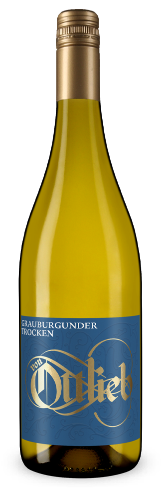Pinot Gris 2025