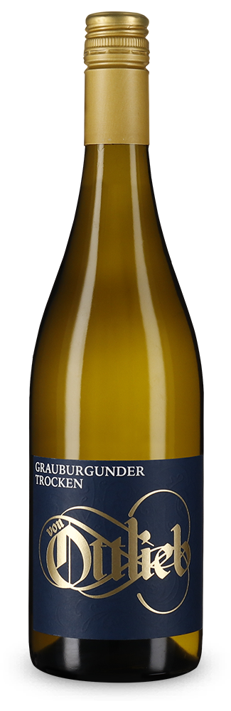 Pinot Gris 2025