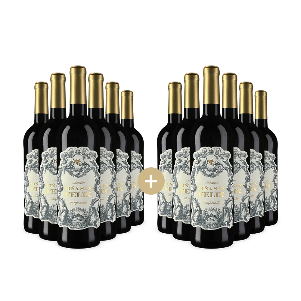 6+6 bottiglie Tempranillo Selección 2024 – Gold