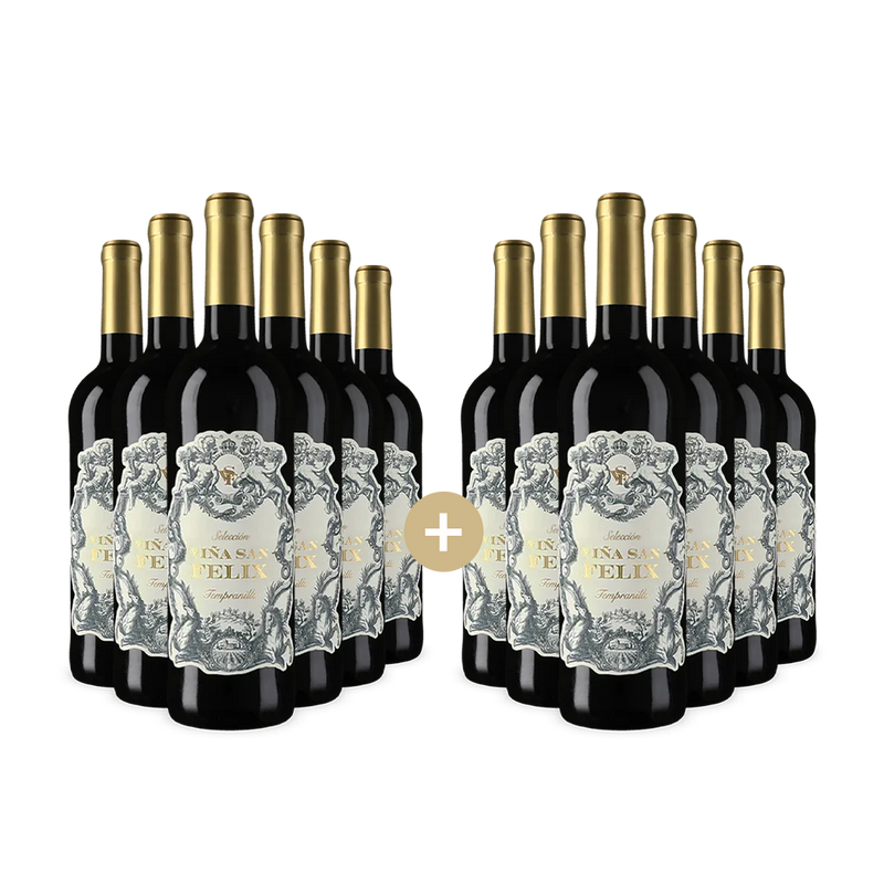 6+6 bottiglie Tempranillo Selección 2024 – Gold