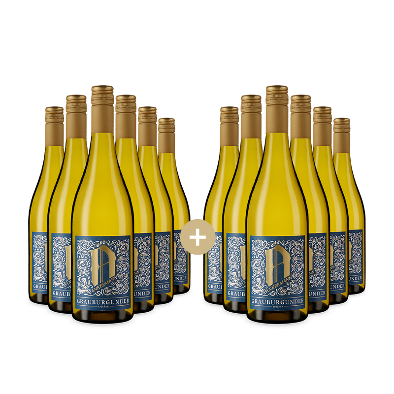 6+6 bottiglie Pinot Gris 2025 – Gold
