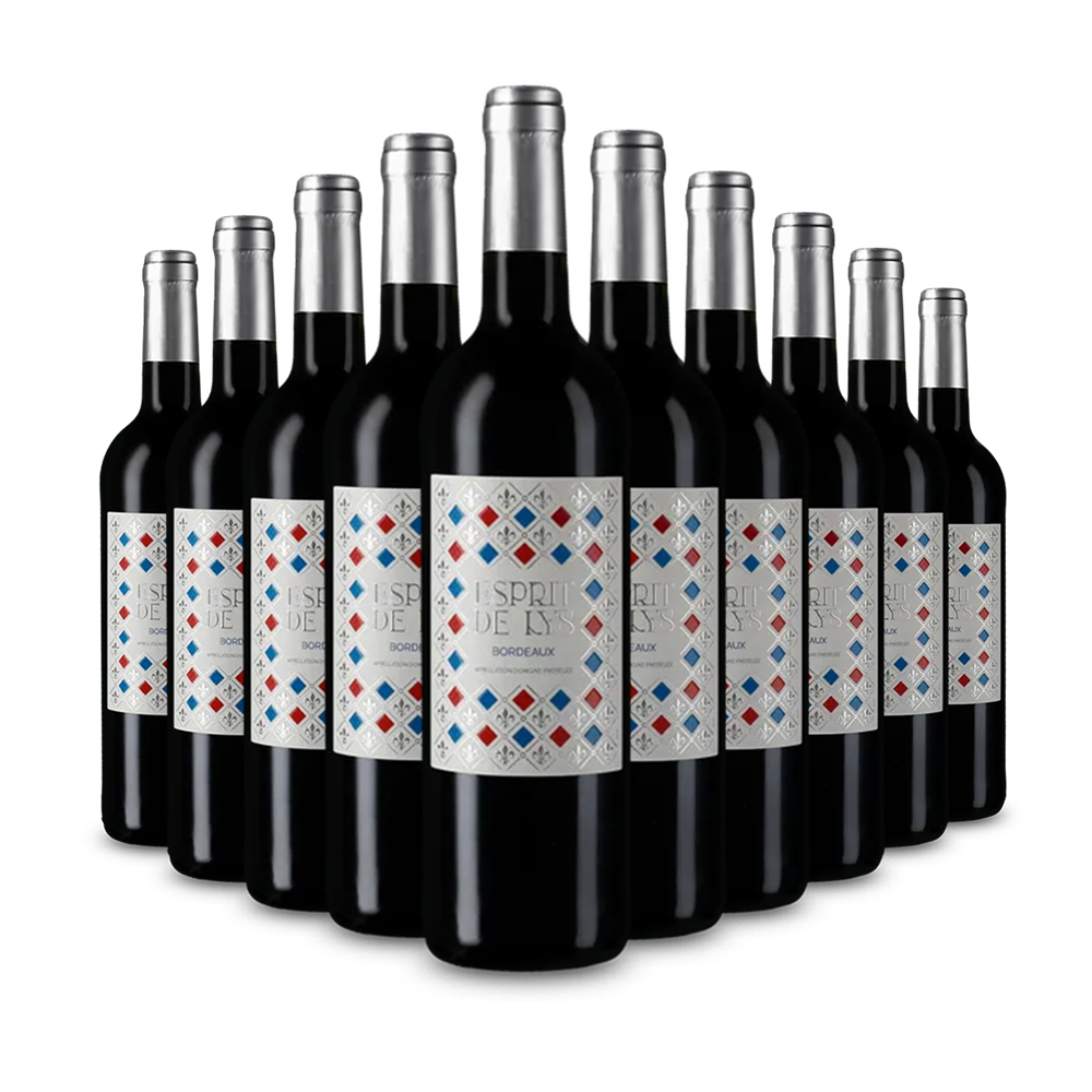 10 bottiglie Bordeaux 2020