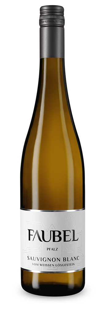 Sauvignon Blanc vom weißen Lössgestein 2025