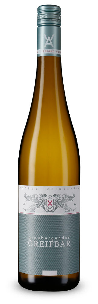 Pinot Gris Greifbar 2025