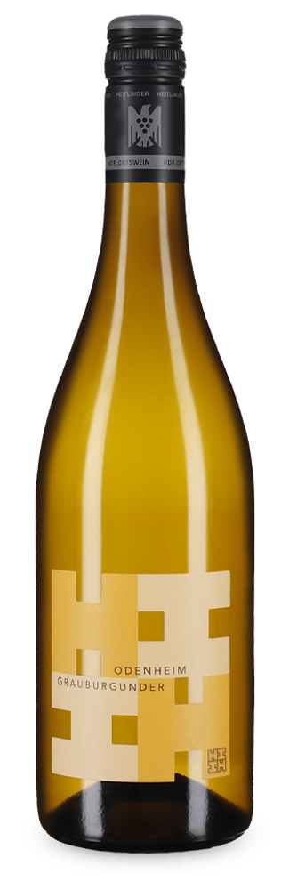Pinot Gris Odenheim 2025