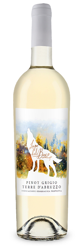 Cantina Tollo Lupo del Bosco Pinot Grigio 2025