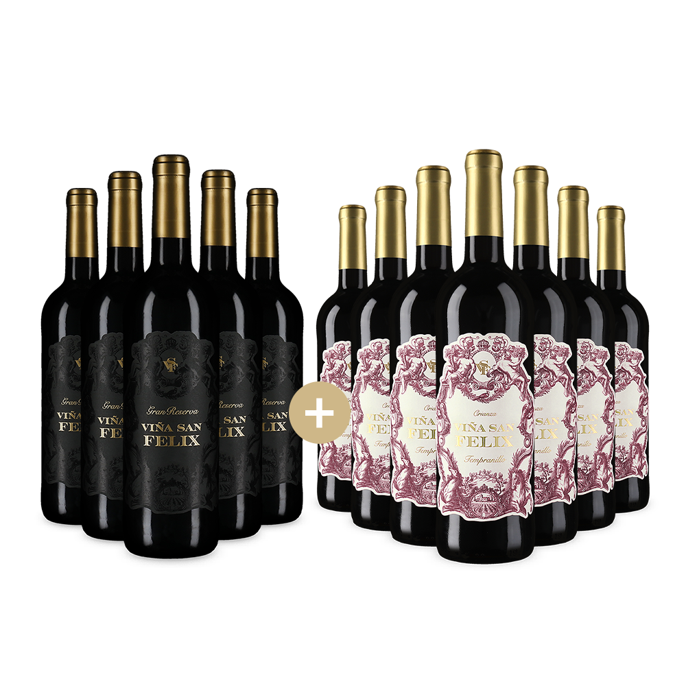 5+7 bottiglie: coppia di vini spagnoli di Viña San Felix – Gold