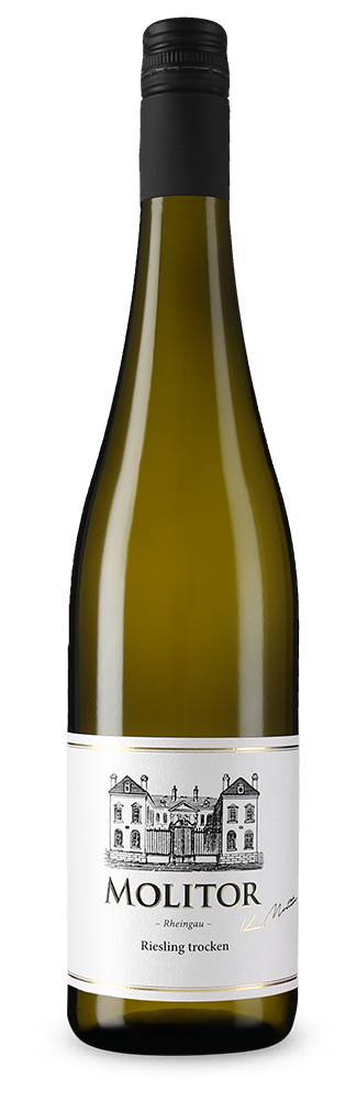 Riesling Renania 2025