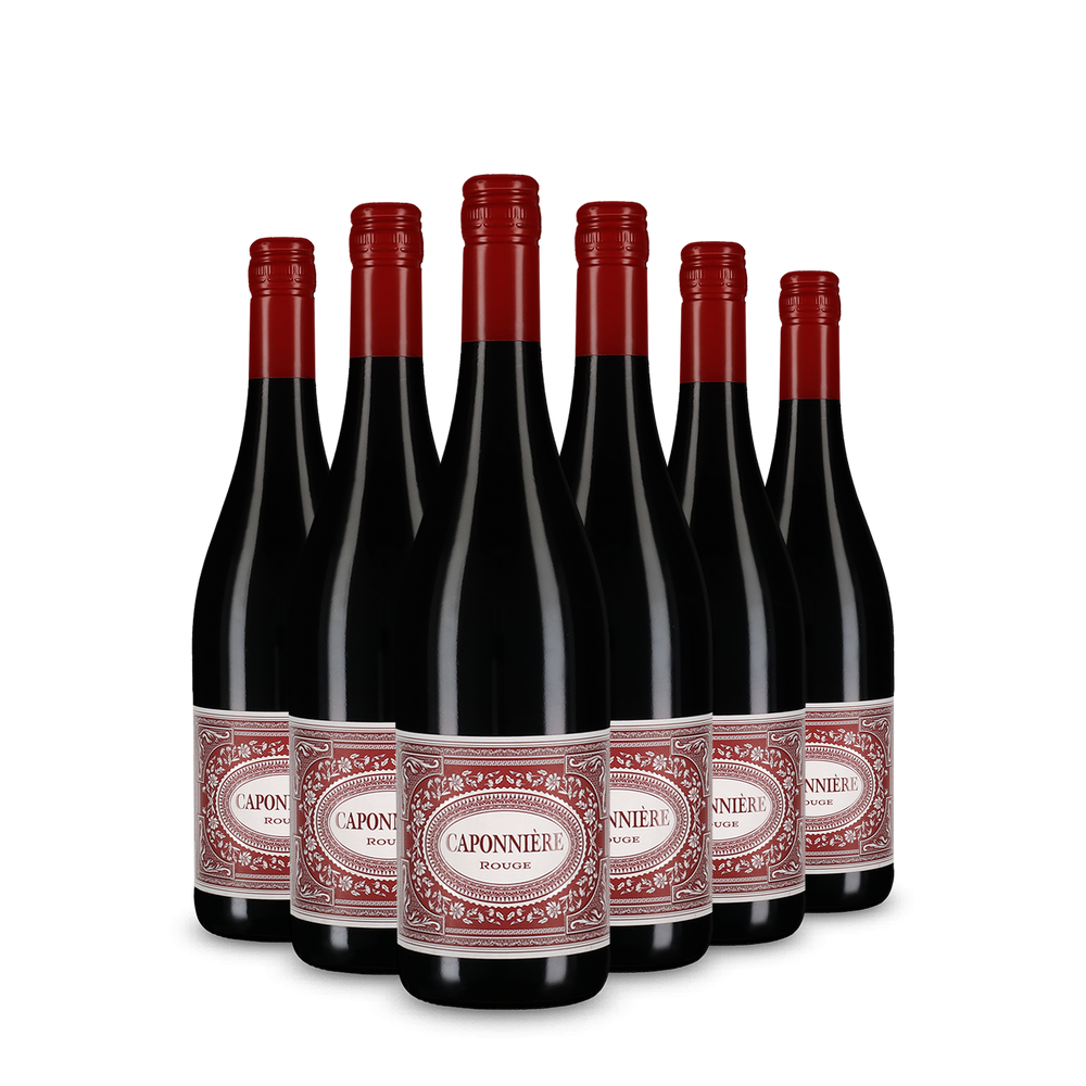 6x Rosso 2024