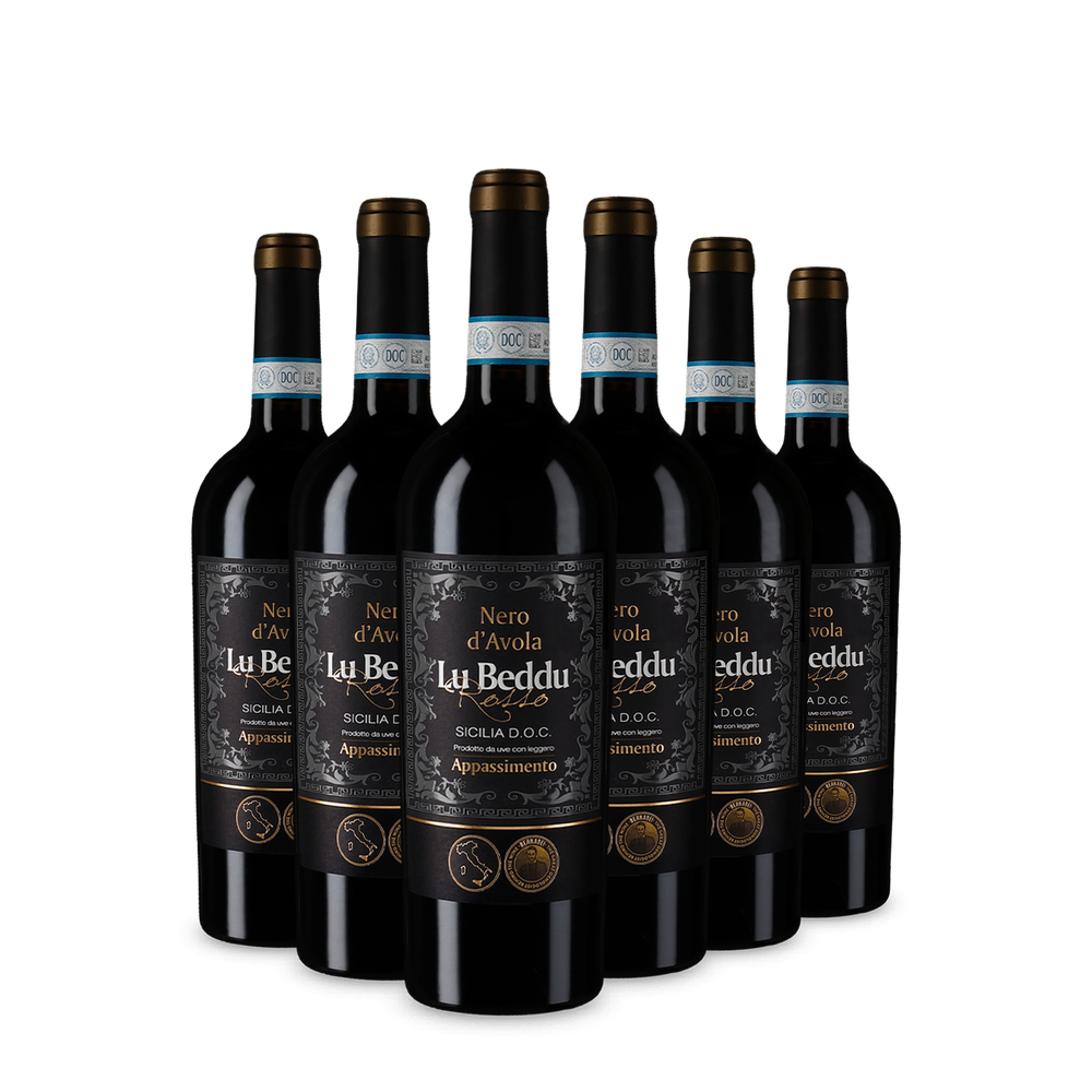 6 bottiglie Nero d’Avola Sicilia Appassimento 2023