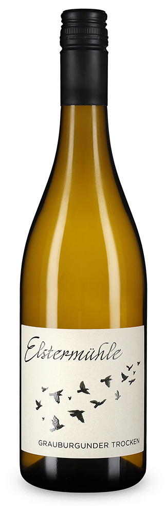 Pinot Gris 2025