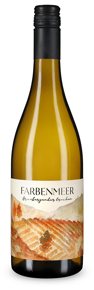 Pinot Gris 2025