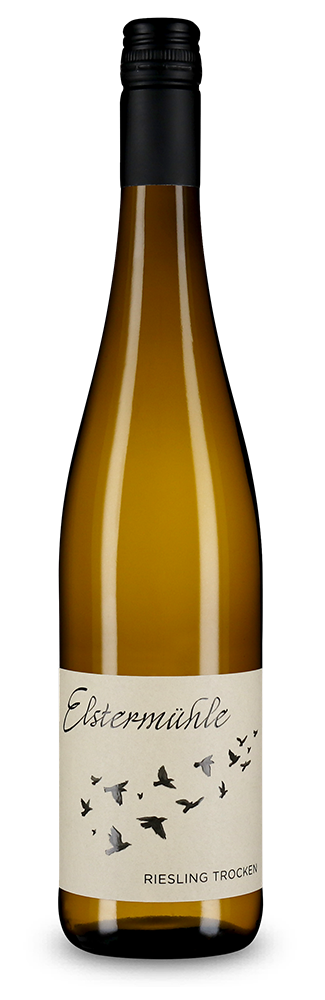 Riesling 2025