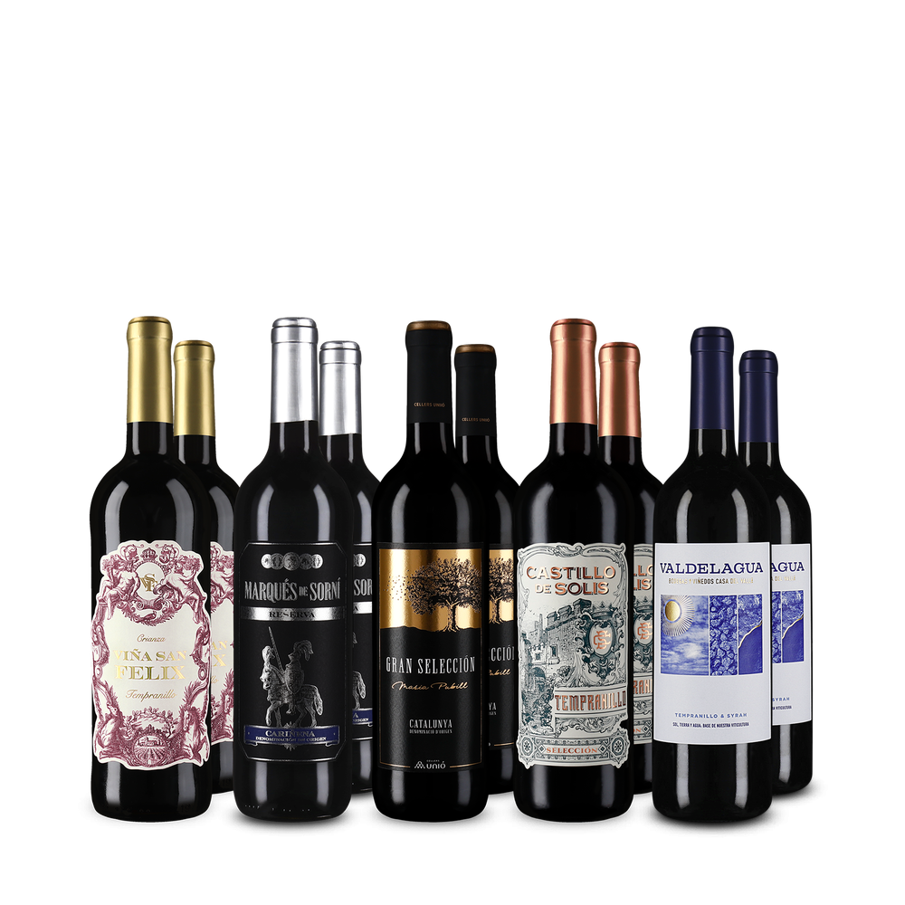 5x2 Vini rossi spagnoli qualità prezzo irresistibile