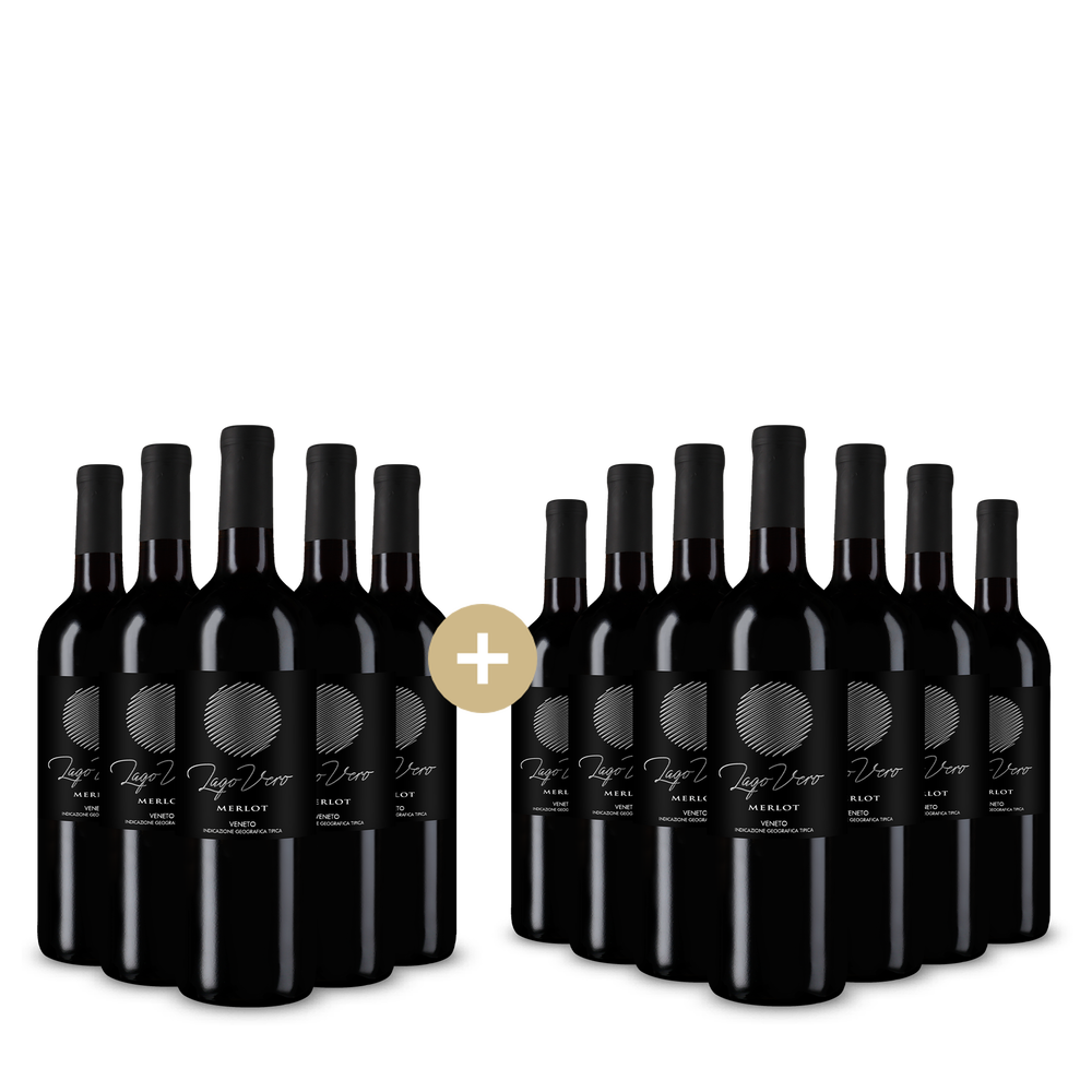 5+7 bottiglie Merlot Veneto 2025