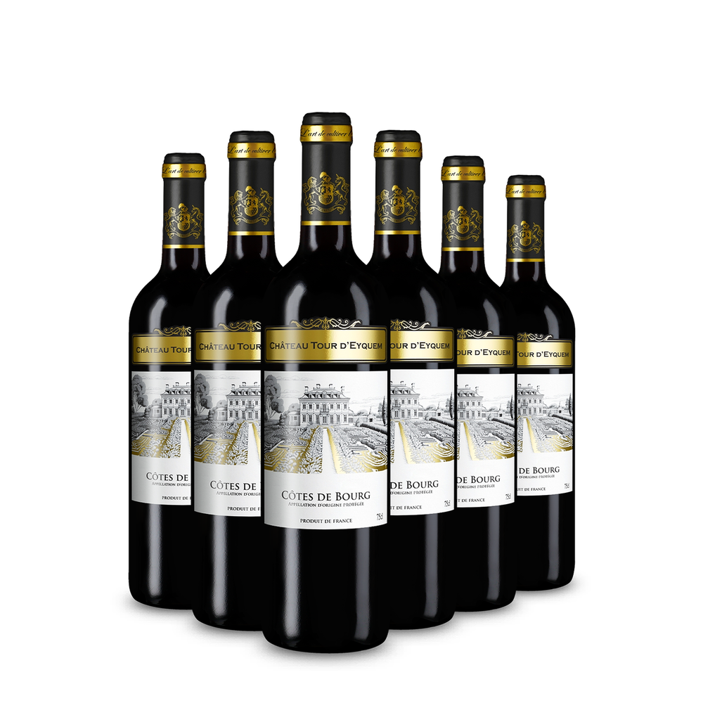 6 bottiglie Côtes de Bourg 2022