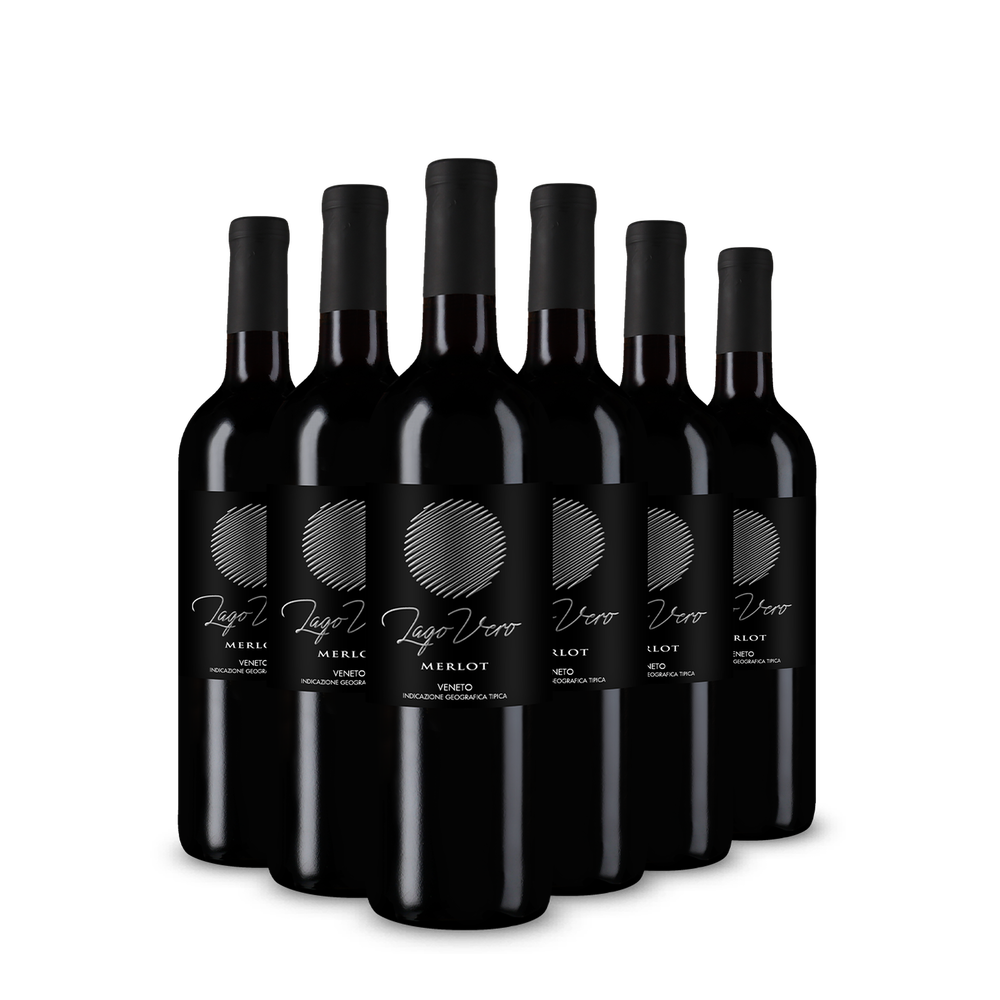 6 bottiglie Merlot Veneto 2025