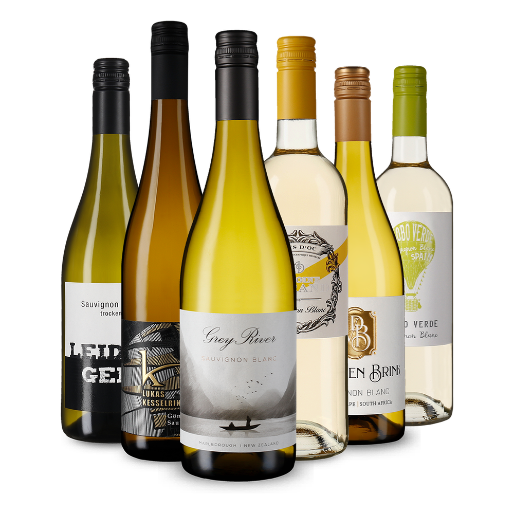6x1 Selezione di Sauvignon Blanc dal mondo