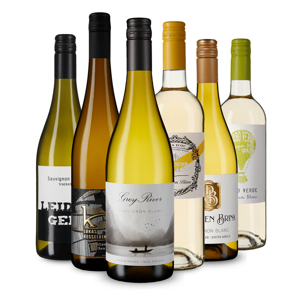 6x1 Selezione di Sauvignon Blanc dal mondo